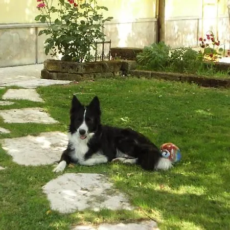 Bed & Breakfast Ai Tre Confini